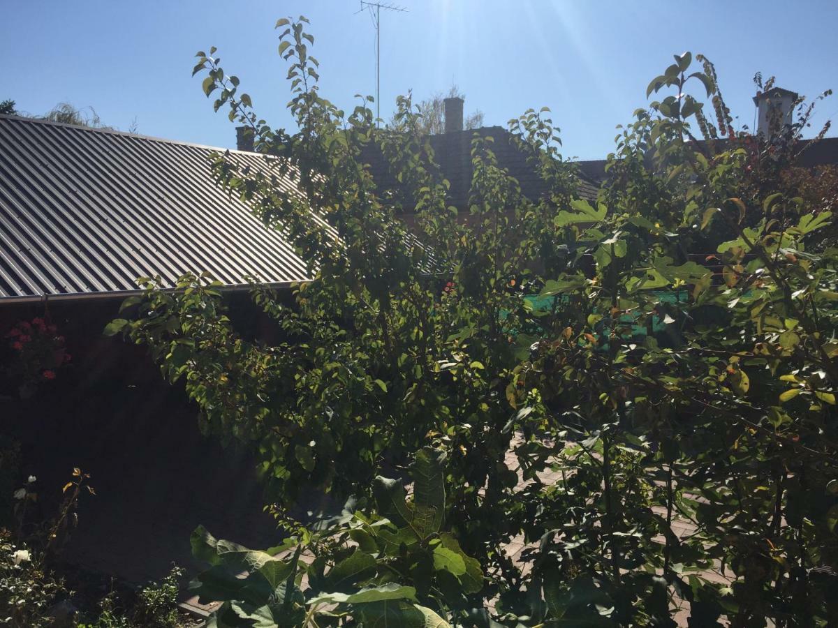 Tamas Apartman Balatonfoeldvar Sziveben- Egesz Evben Nyitva! Exterior photo