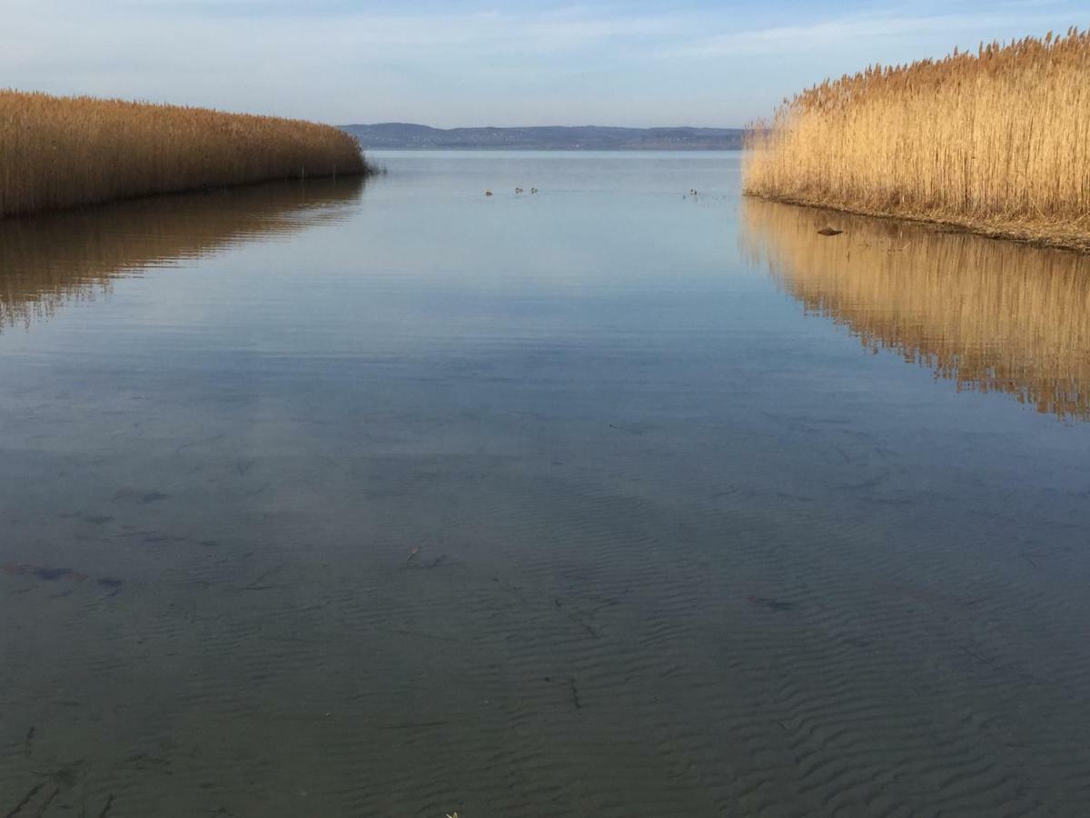 Tamas Apartman Balatonfoeldvar Sziveben- Egesz Evben Nyitva! Exterior photo