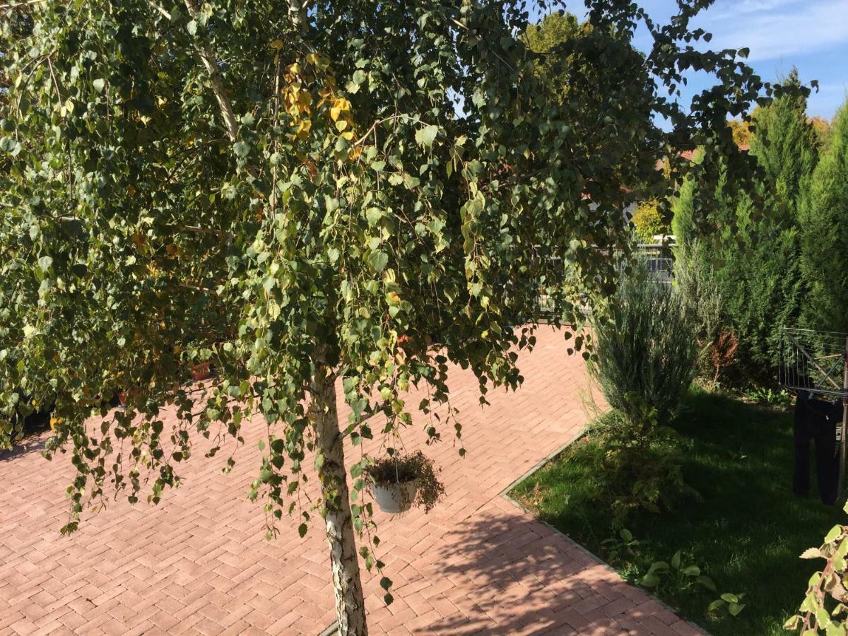 Tamas Apartman Balatonfoeldvar Sziveben- Egesz Evben Nyitva! Exterior photo